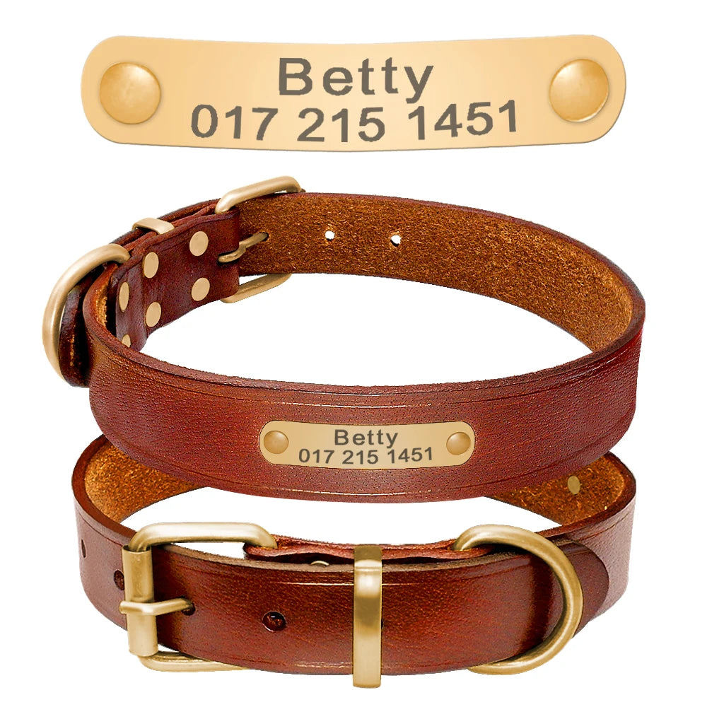 Personalized Leather Dog Collar - Adjustable with Engraved ID Name