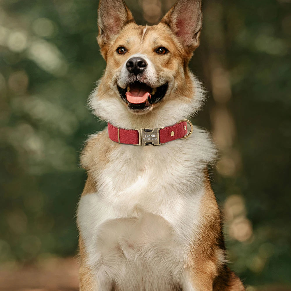 Personalized Dog Collar - Durable Nylon with Custom ID Name Tag