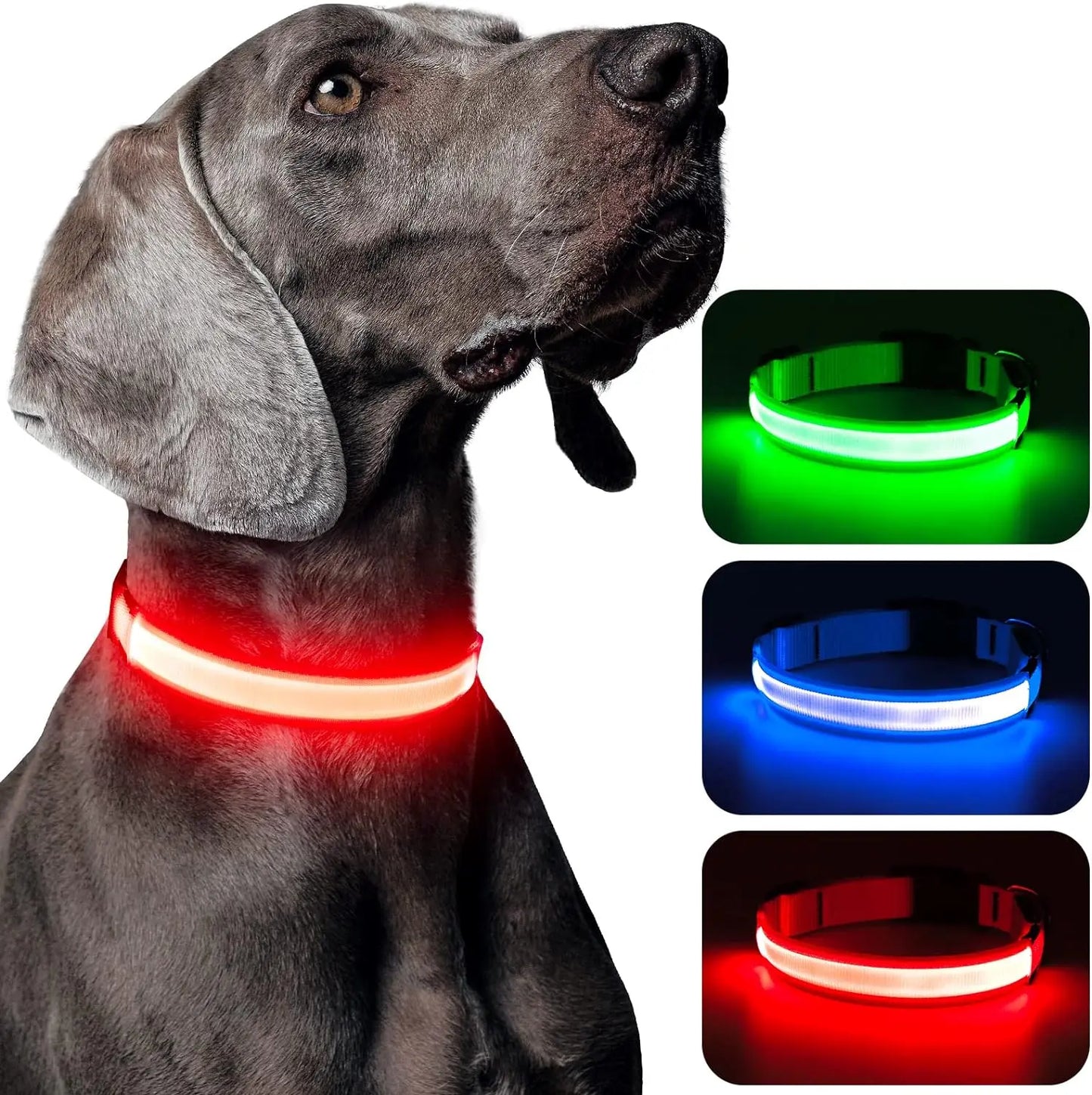 LED Dog Collar - USB Rechargeable High Visibility Glow Collar