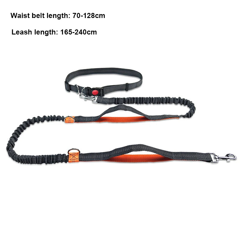 Hands Free Dog Leash - Adjustable Waist Belt for Running & Jogging