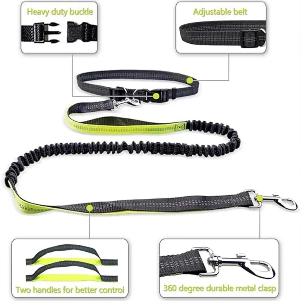 Hands Free Dog Leash - Adjustable Waist Belt for Running & Jogging