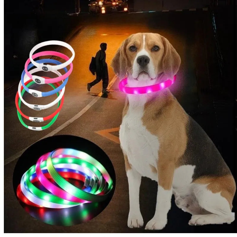 LED Luminous Dog Collar - USB Rechargeable Waterproof Night Safety