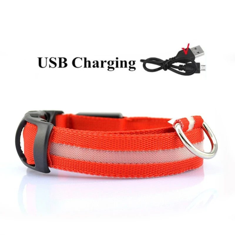 LED Dog Collar - USB Rechargeable High Visibility Glow Collar