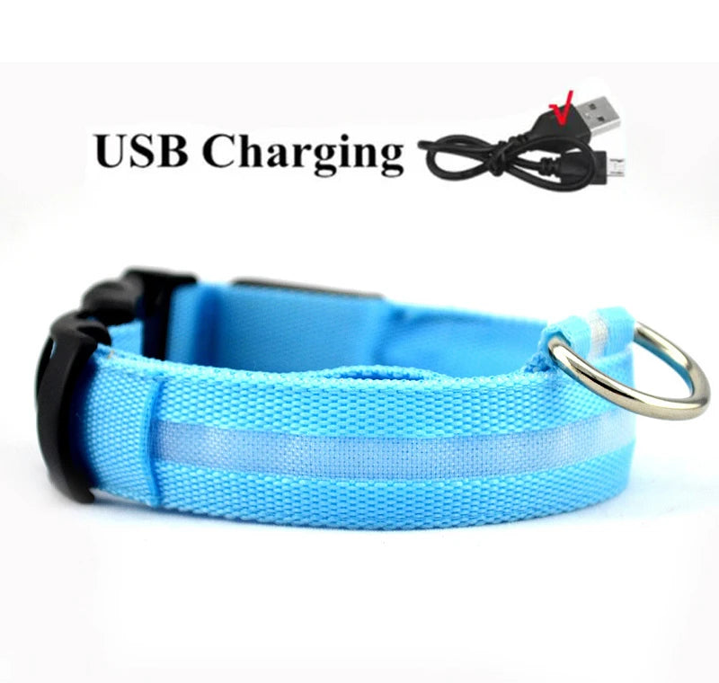 LED Dog Collar - USB Rechargeable High Visibility Glow Collar