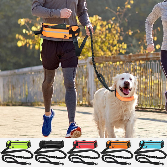 Hands Free Dog Leash - Reflective with Waist Bag for Running & Walking