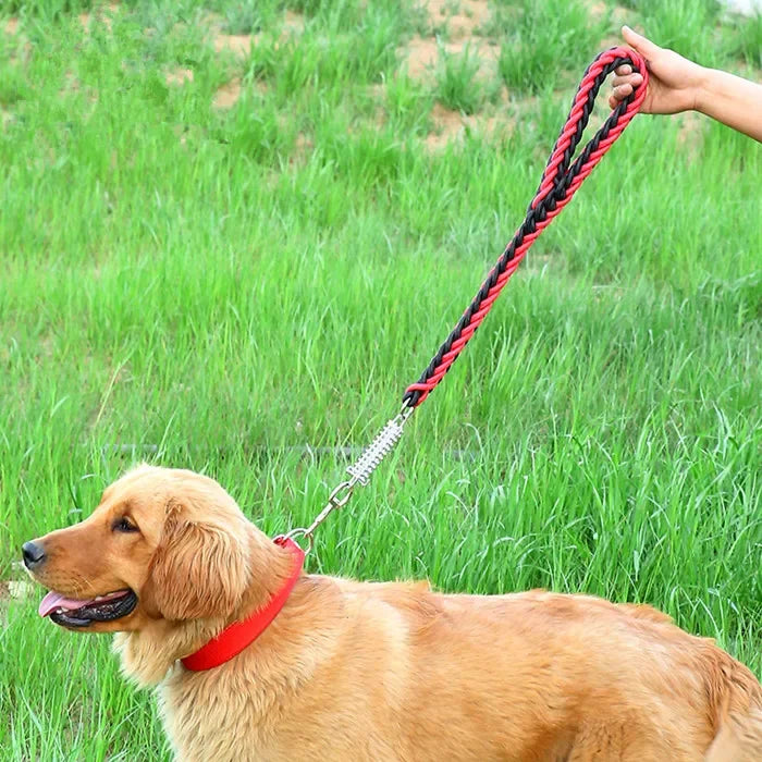 Explosion-Proof Dog Leash with Shock Absorb Spring for Large Dogs