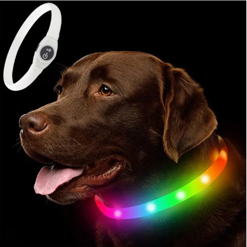 LED Luminous Dog Collar - USB Rechargeable Waterproof Night Safety