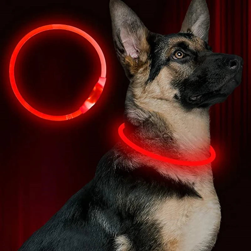 LED USB Dog Collar - Rechargeable Night Safety Glow Collar