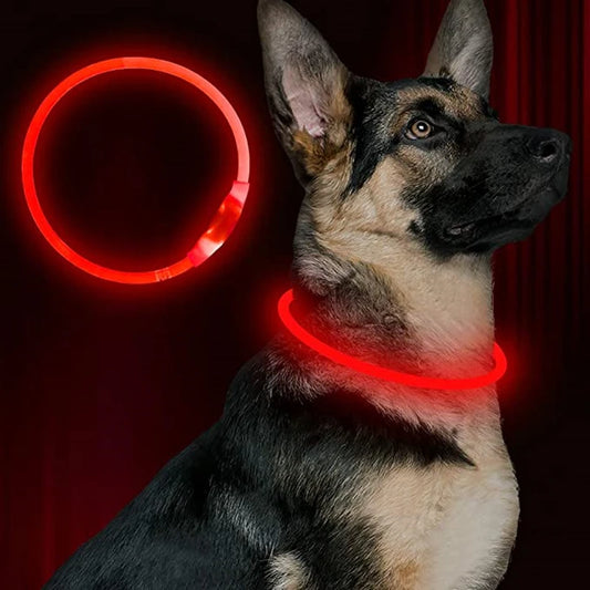 LED USB Dog Collar - Rechargeable Night Safety Glow Collar