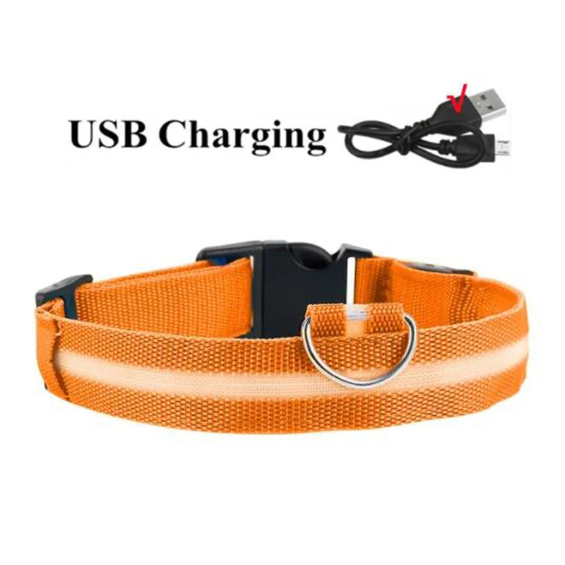 LED Dog Collar - USB Rechargeable High Visibility Glow Collar