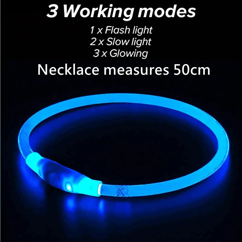 LED USB Dog Collar - Rechargeable Night Safety Glow Collar