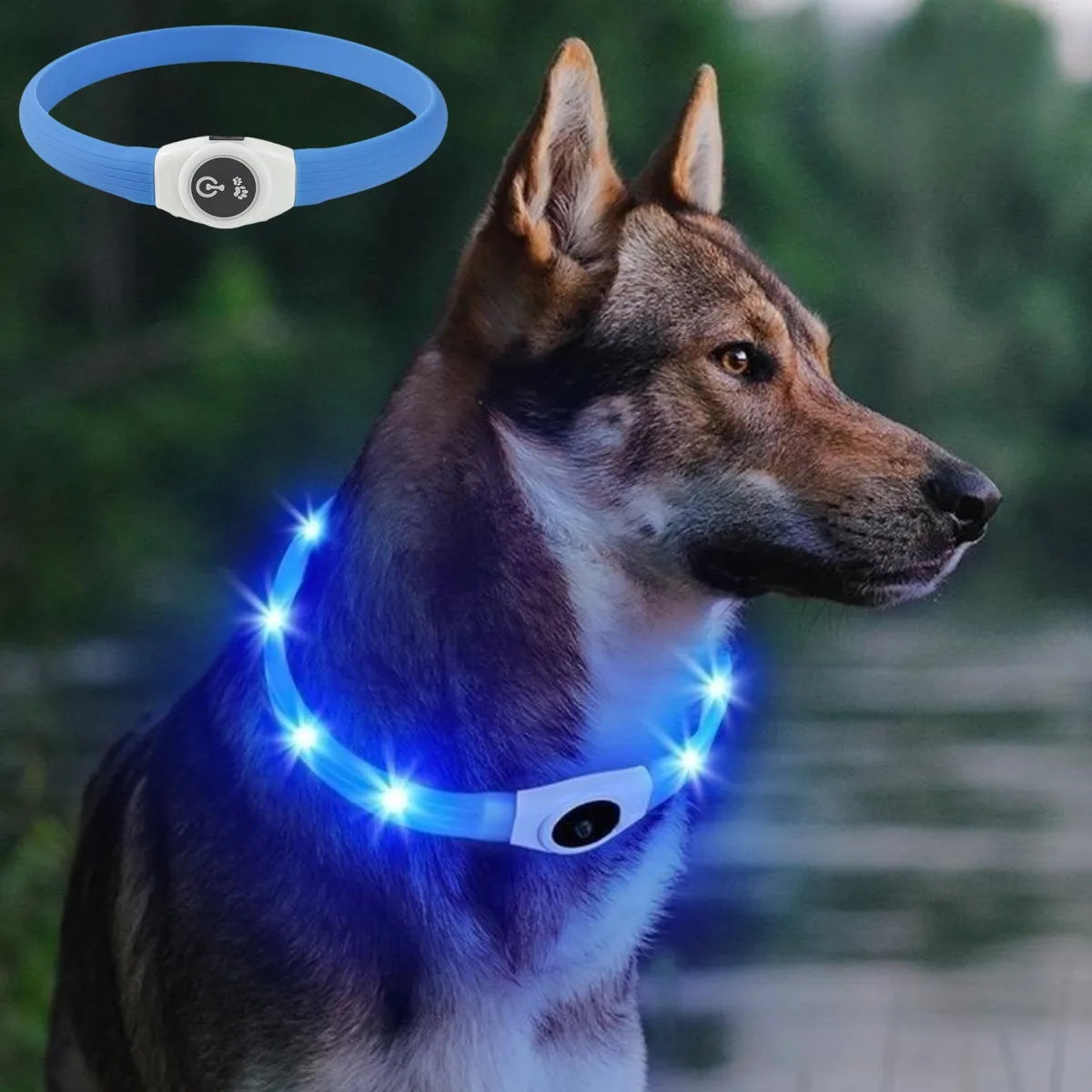 LED Luminous Dog Collar - USB Rechargeable Waterproof Night Safety