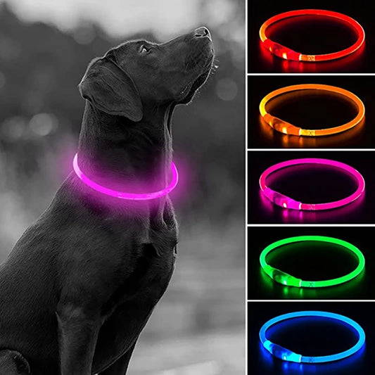 LED USB Dog Collar - Rechargeable Night Safety Glow Collar
