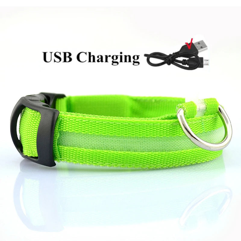 LED Dog Collar - USB Rechargeable High Visibility Glow Collar