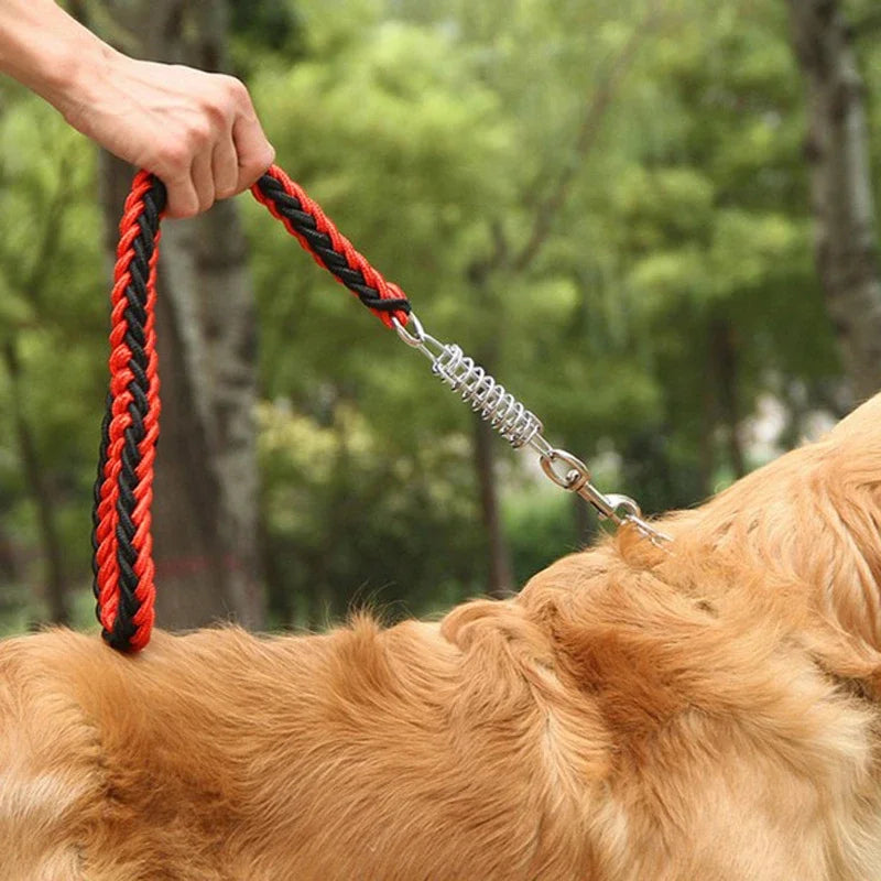 Explosion-Proof Dog Leash with Shock Absorb Spring for Large Dogs