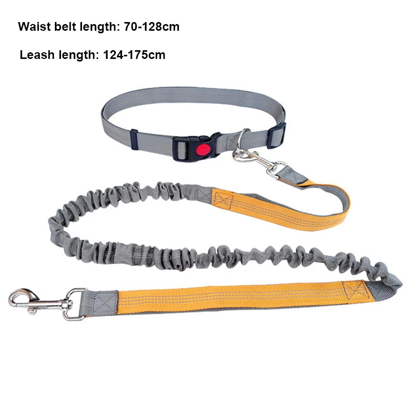 Hands Free Dog Leash - Adjustable Waist Belt for Running & Jogging