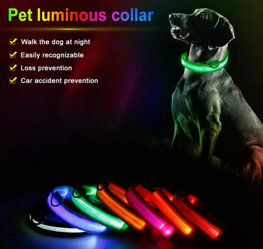 LED Dog Collar - USB Rechargeable High Visibility Glow Collar