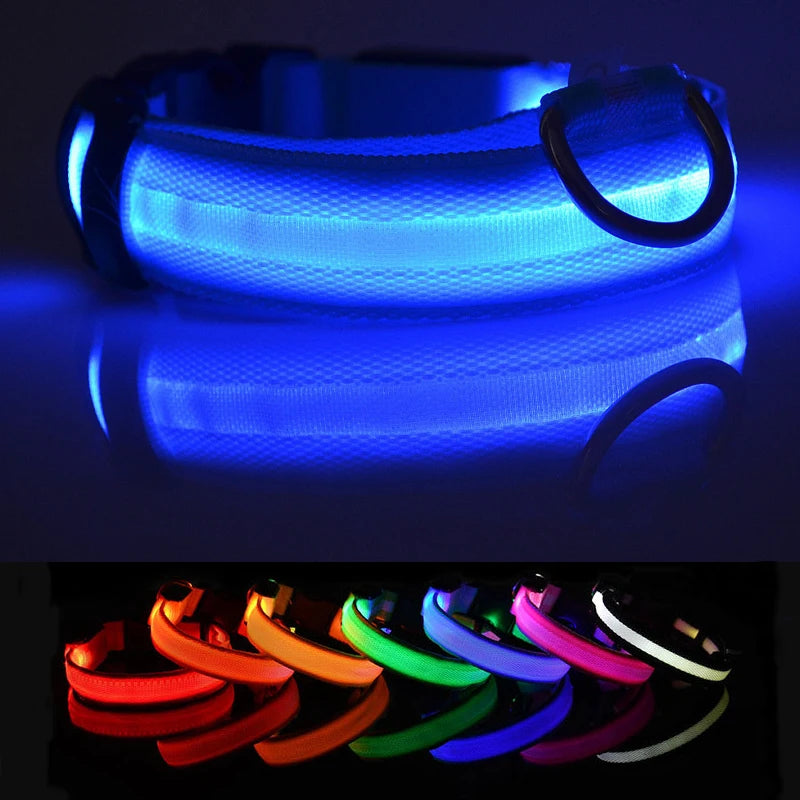 LED Dog Collar - USB Rechargeable High Visibility Glow Collar