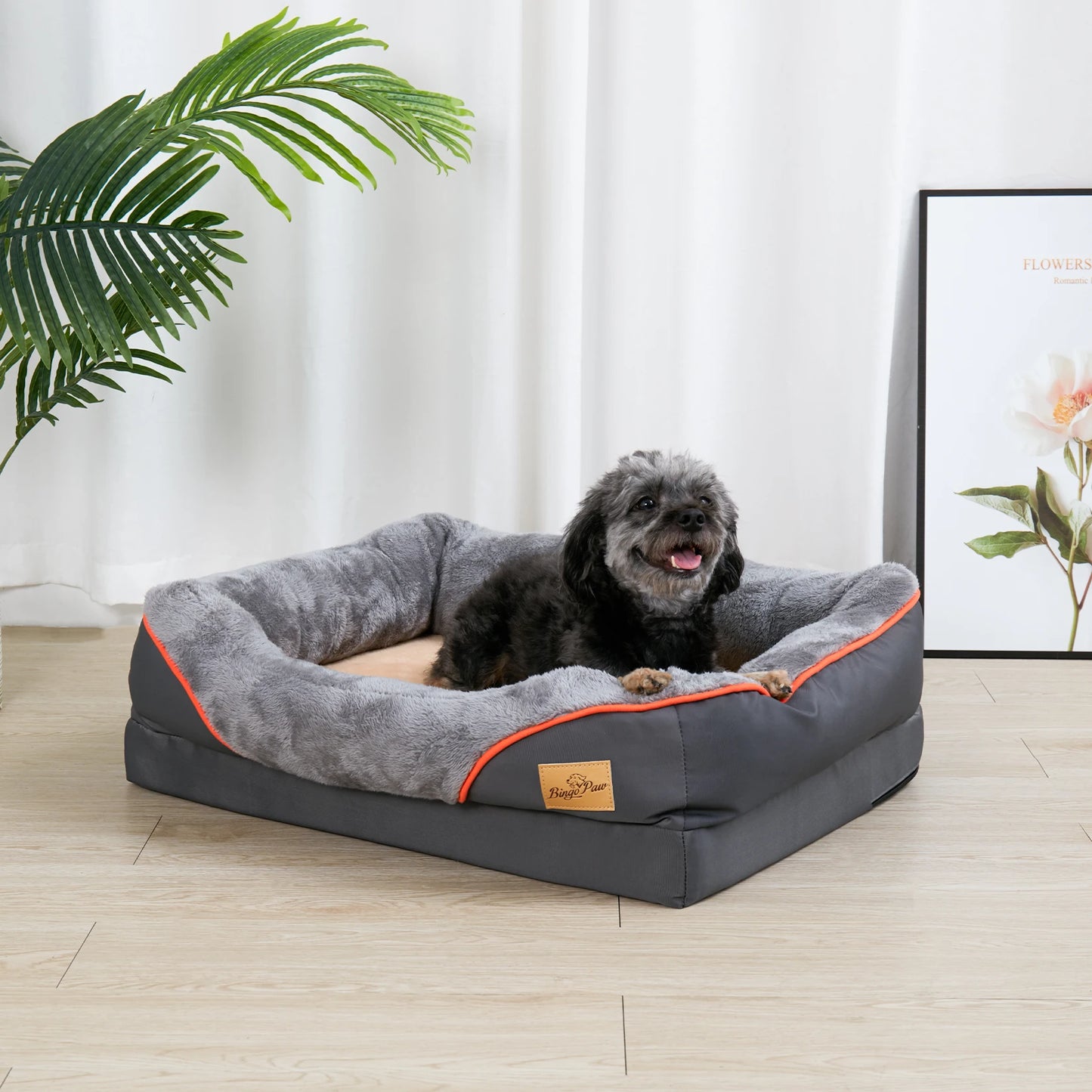 Orthopedic Dog Bed - Soft Foam with Removable Cover (L-3XL)