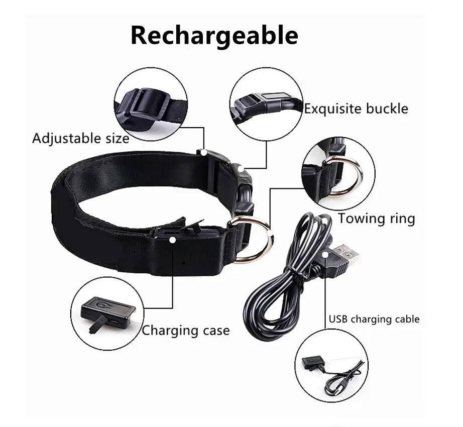 LED Dog Collar - USB Rechargeable High Visibility Glow Collar