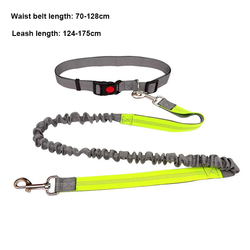 Hands Free Dog Leash - Adjustable Waist Belt for Running & Jogging