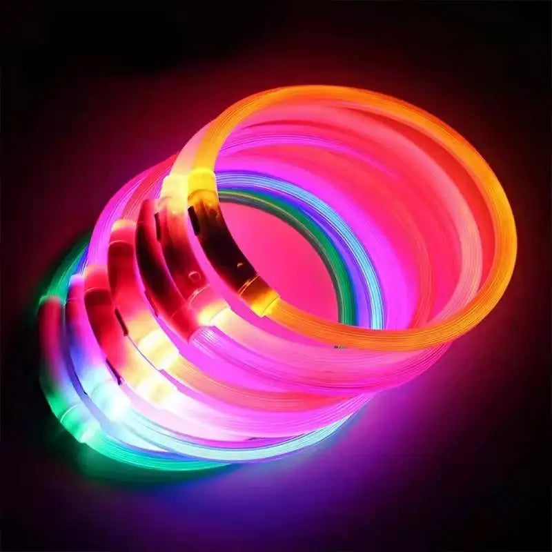 LED USB Dog Collar - Rechargeable Night Safety Glow Collar