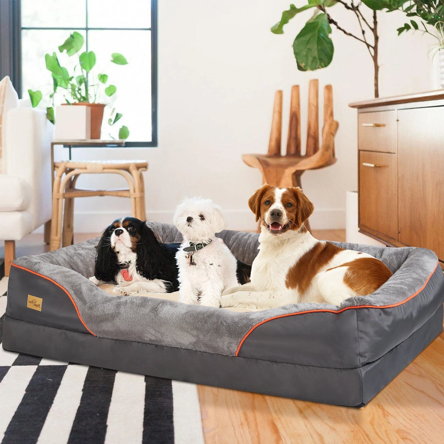 Orthopedic Dog Bed - Soft Foam with Removable Cover (L-3XL)