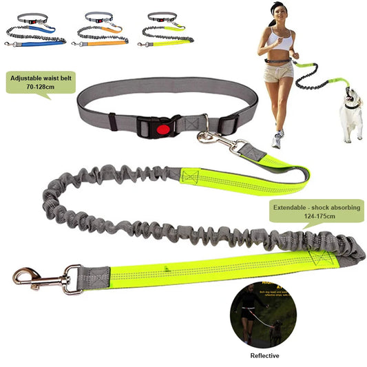 Hands Free Dog Leash - Adjustable Waist Belt for Running & Jogging