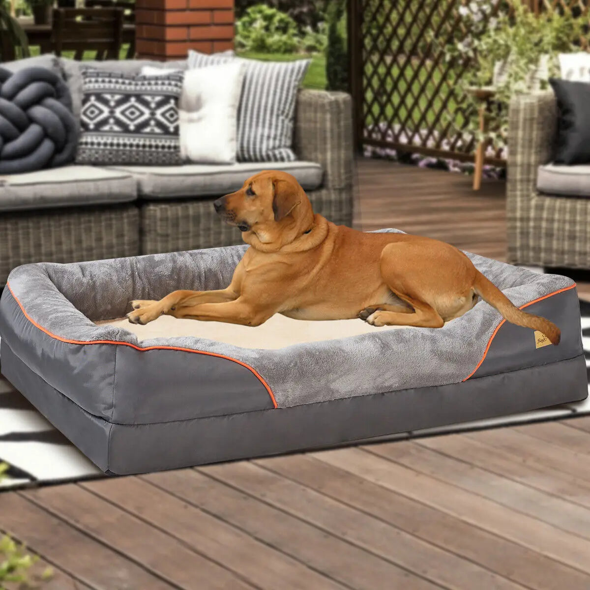 Orthopedic Dog Bed - Soft Foam with Removable Cover (L-3XL)