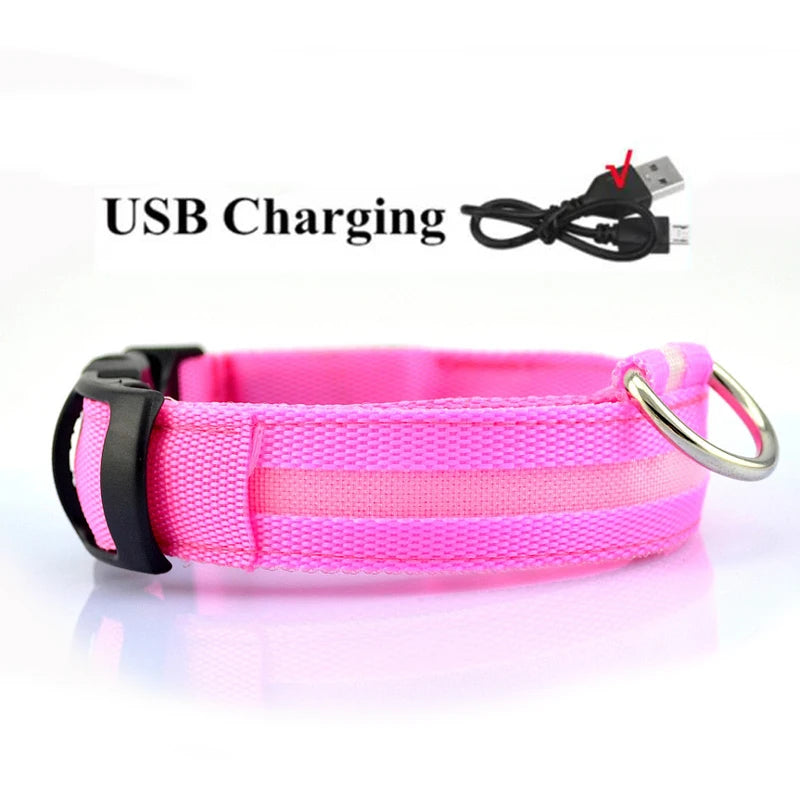 LED Dog Collar - USB Rechargeable High Visibility Glow Collar