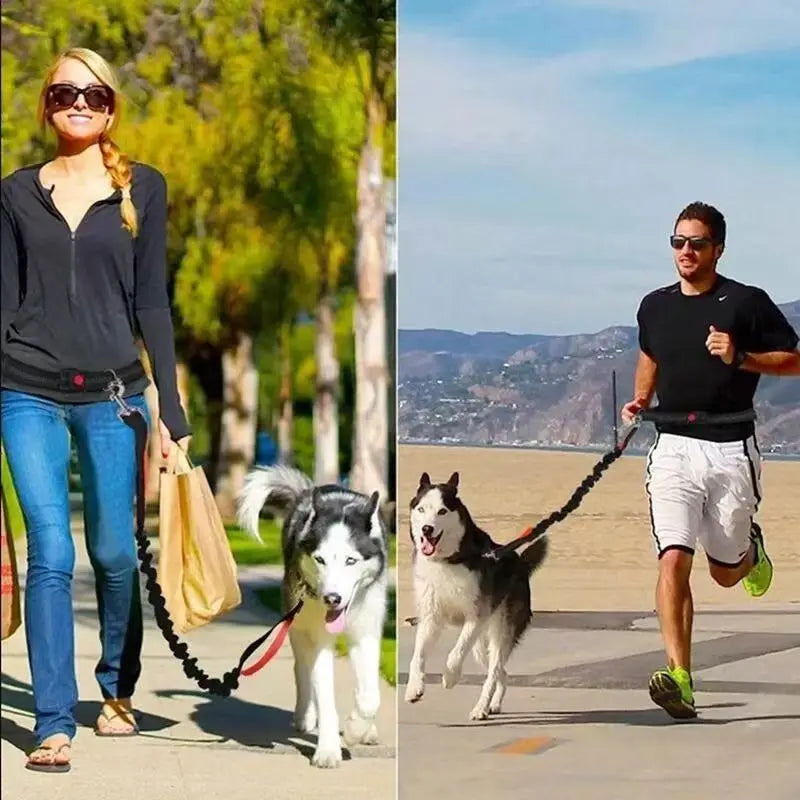 Hands Free Dog Leash - Adjustable Waist Belt for Running & Jogging
