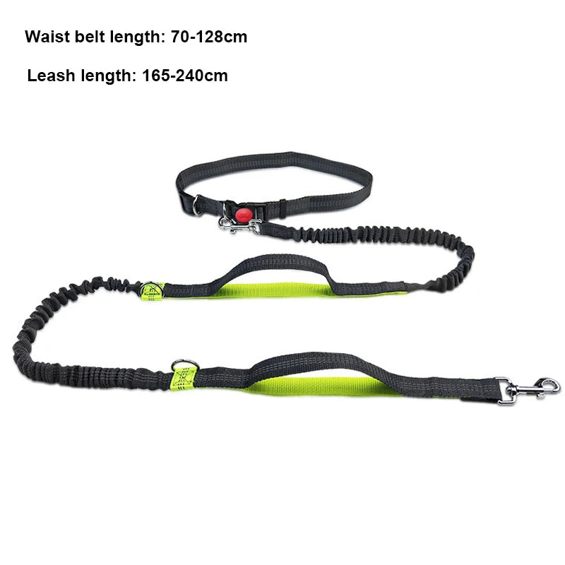 Hands Free Dog Leash - Adjustable Waist Belt for Running & Jogging